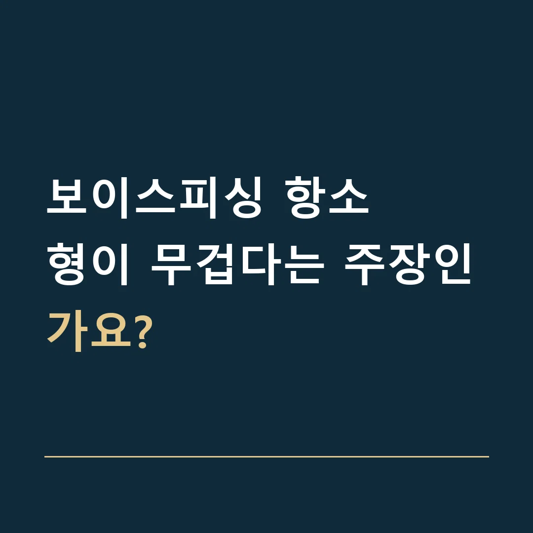 보이스피싱 항소 · 형이 무겁다는 주장인가요?