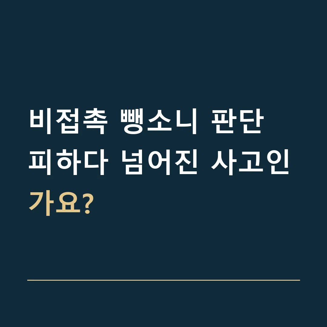 비접촉 뺑소니 판단 · 피하다 넘어진 사고인가요?
