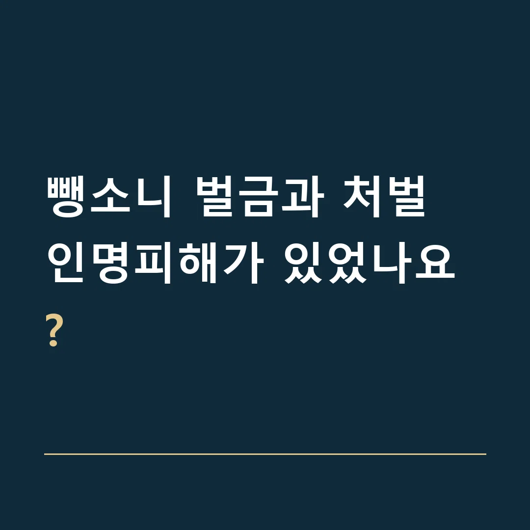 뺑소니 벌금과 처벌 · 인명피해가 있었나요?