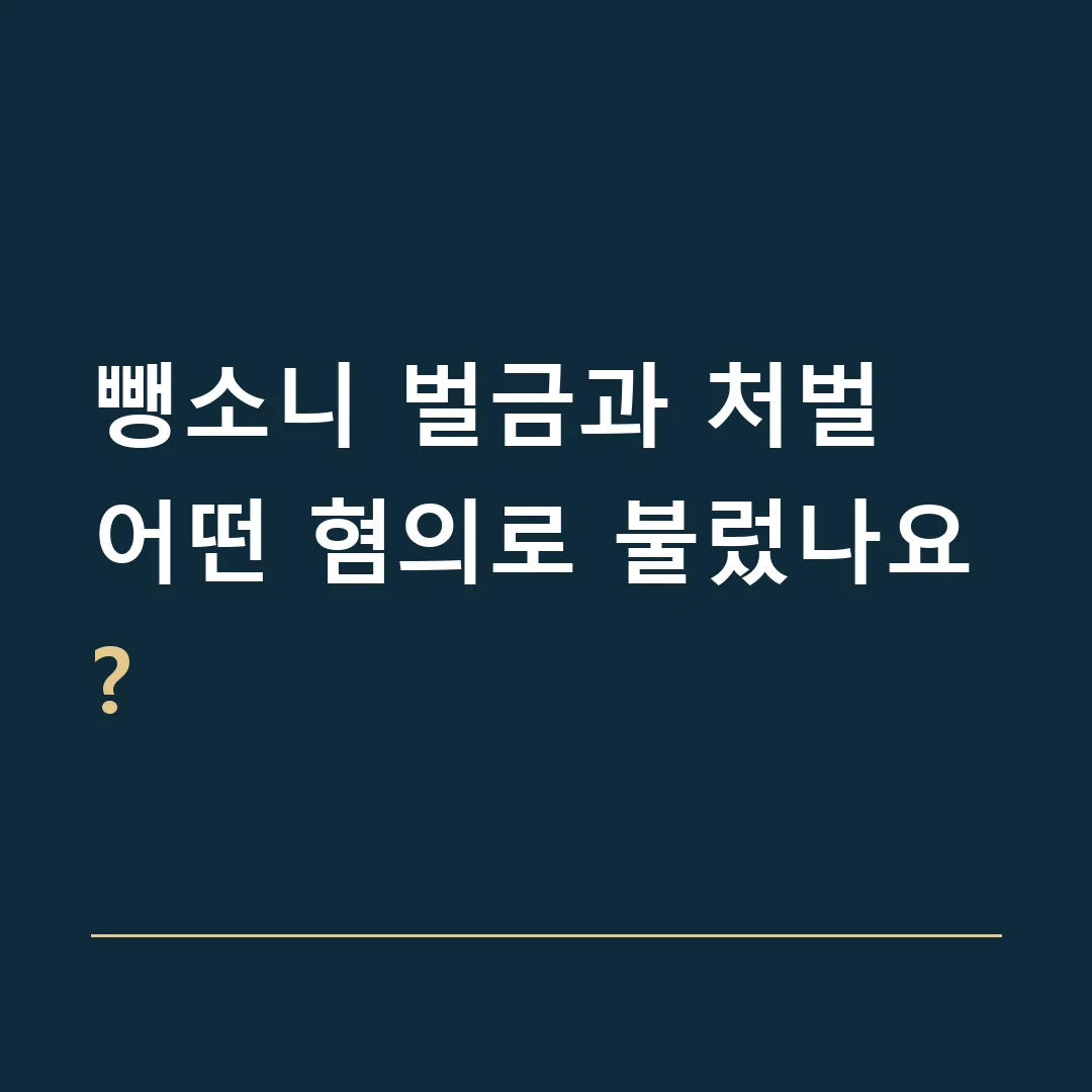 뺑소니 벌금과 처벌 · 어떤 혐의로 불렀나요?