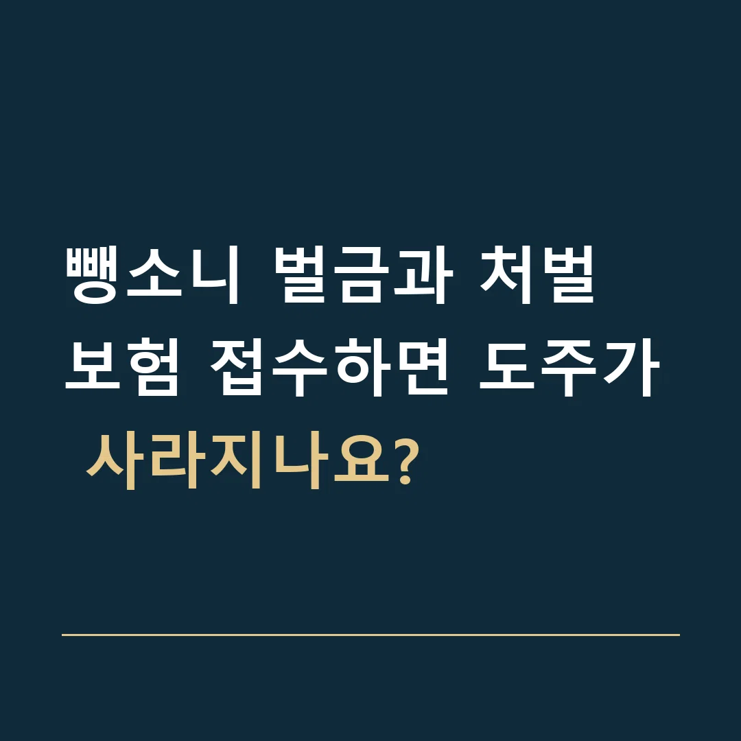 뺑소니 벌금과 처벌 · 보험 접수하면 도주가 사라지나요?