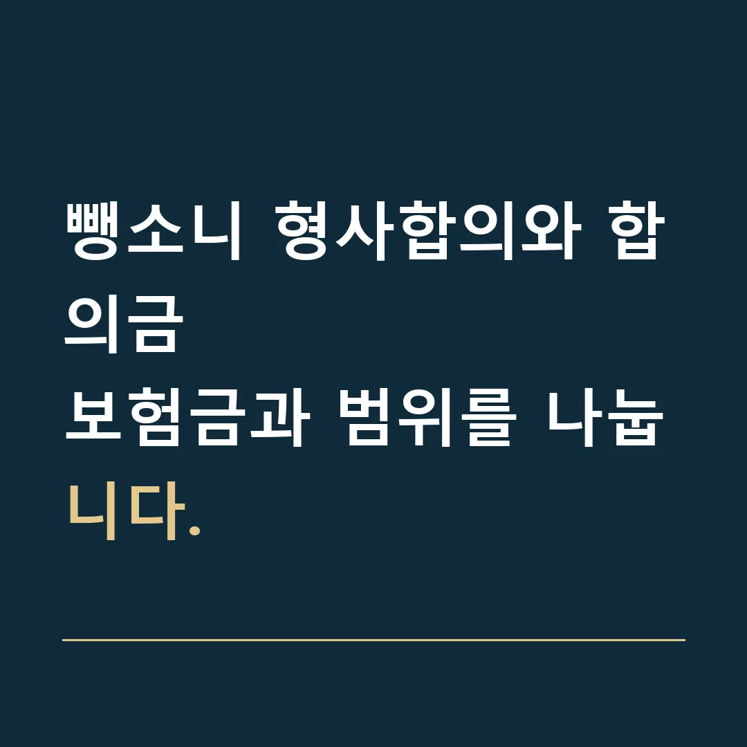 뺑소니 형사합의와 합의금 · 보험금과 범위를 나눕니다.