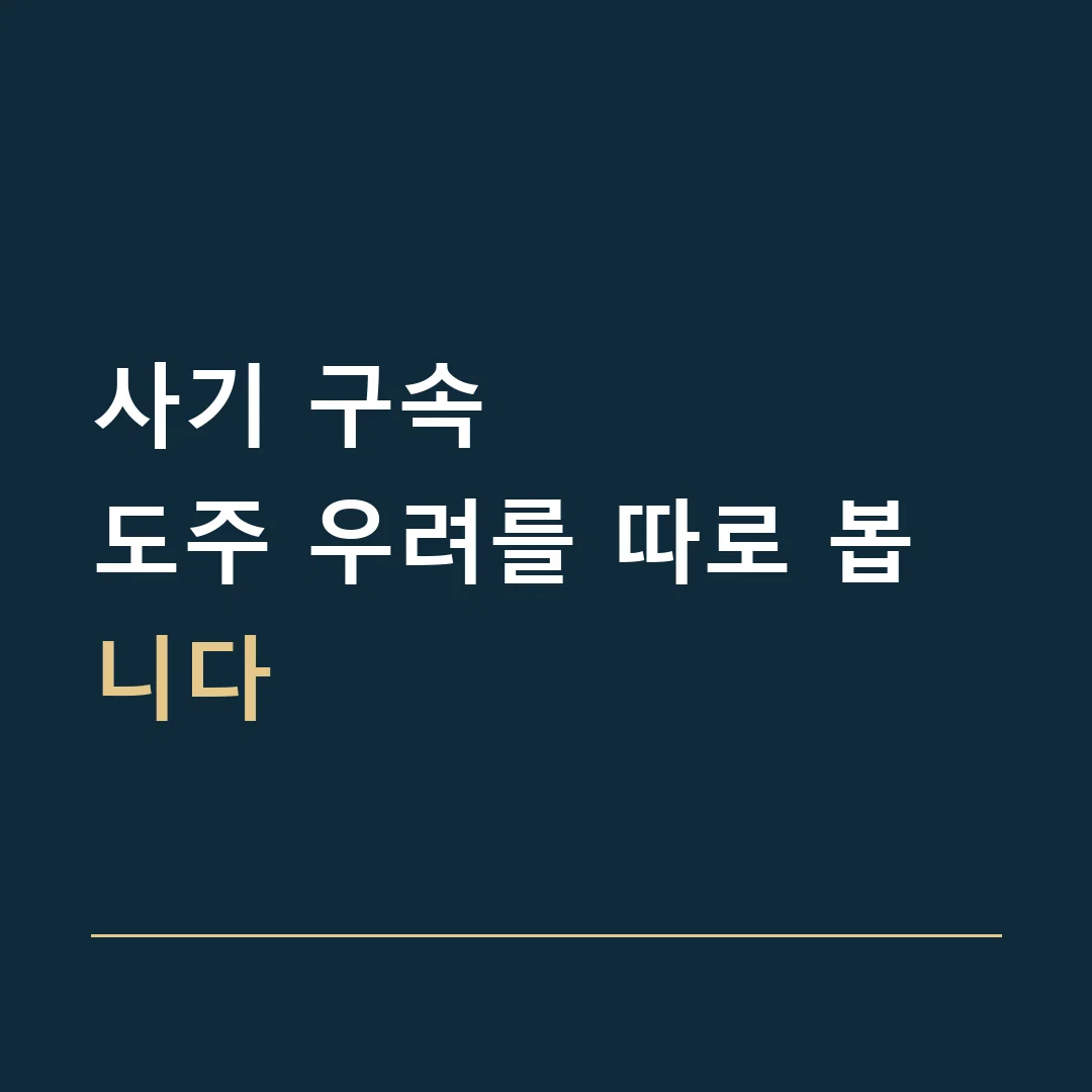 사기 구속 · 도주 우려를 따로 봅니다