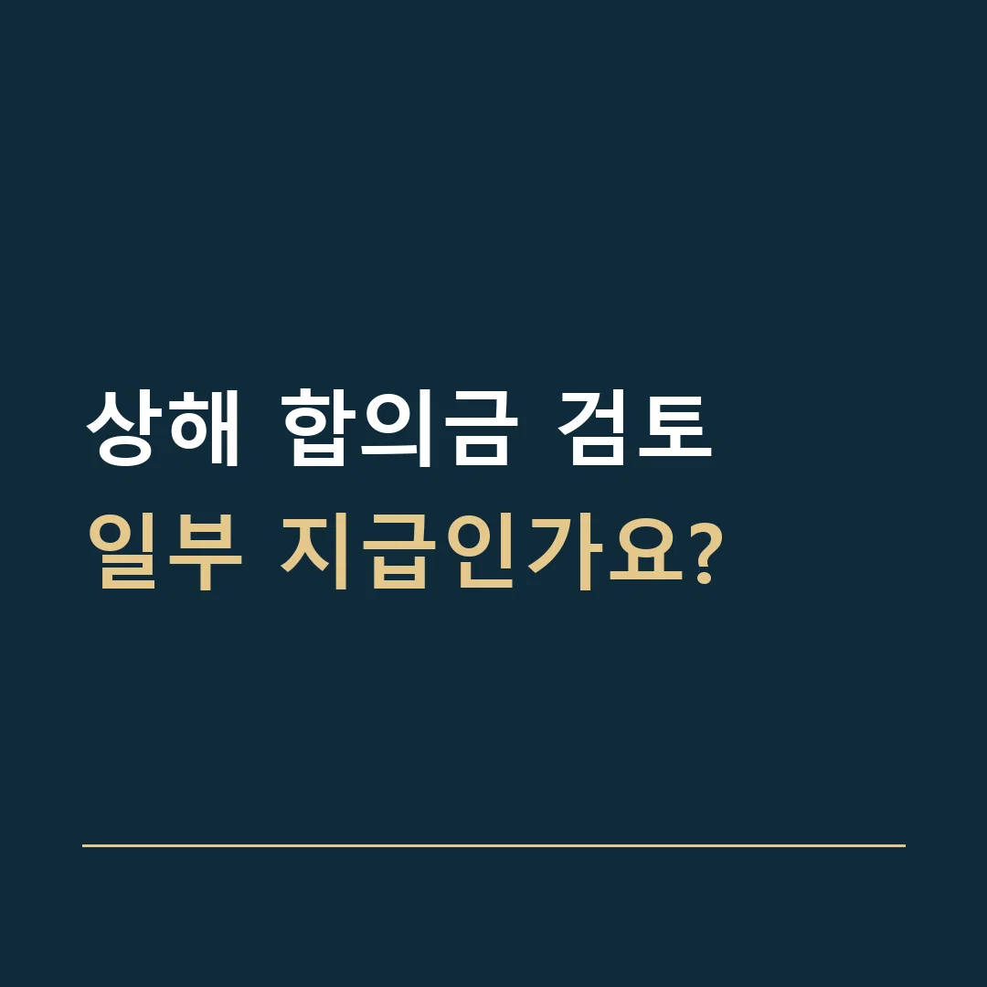 상해 합의금 검토 · 일부 지급인가요?