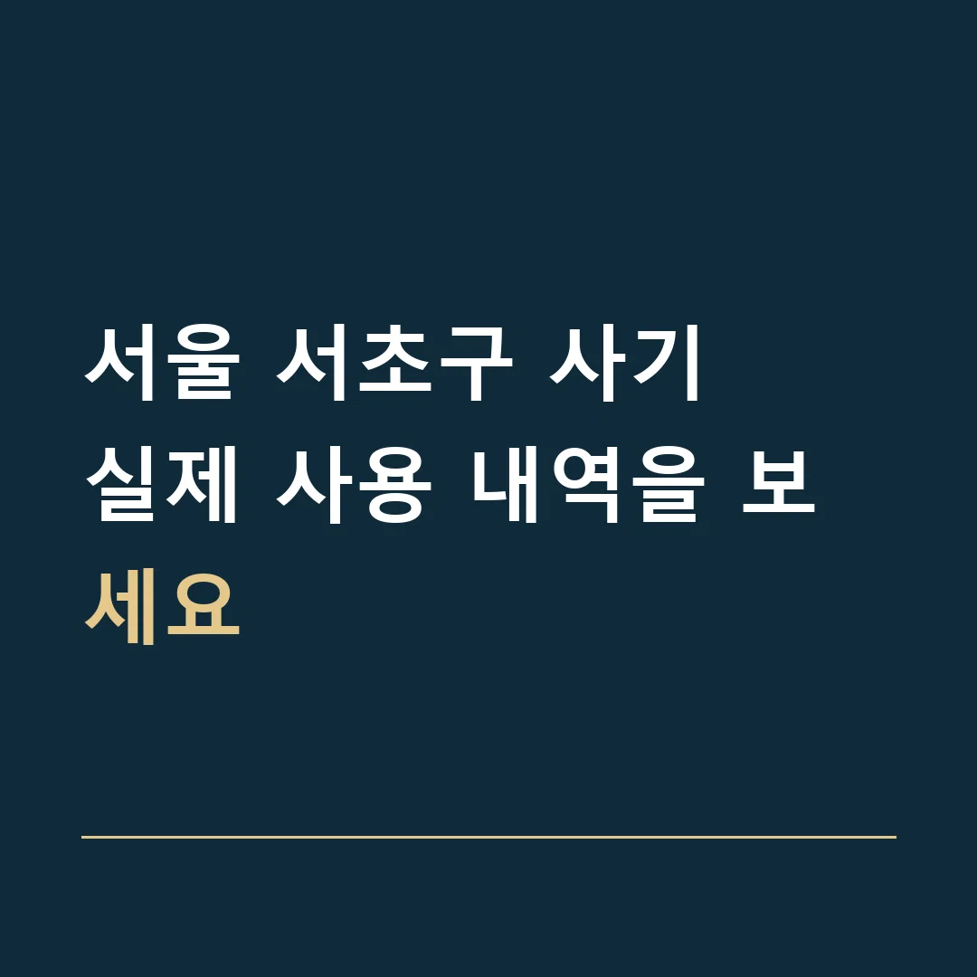 서울 서초구 사기 · 실제 사용 내역을 보세요