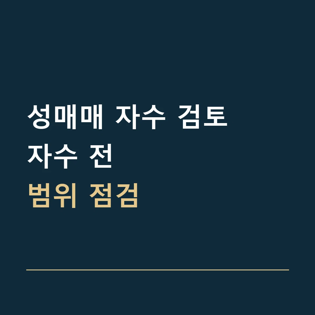 성매매 자수 검토 · 자수 전
범위 점검