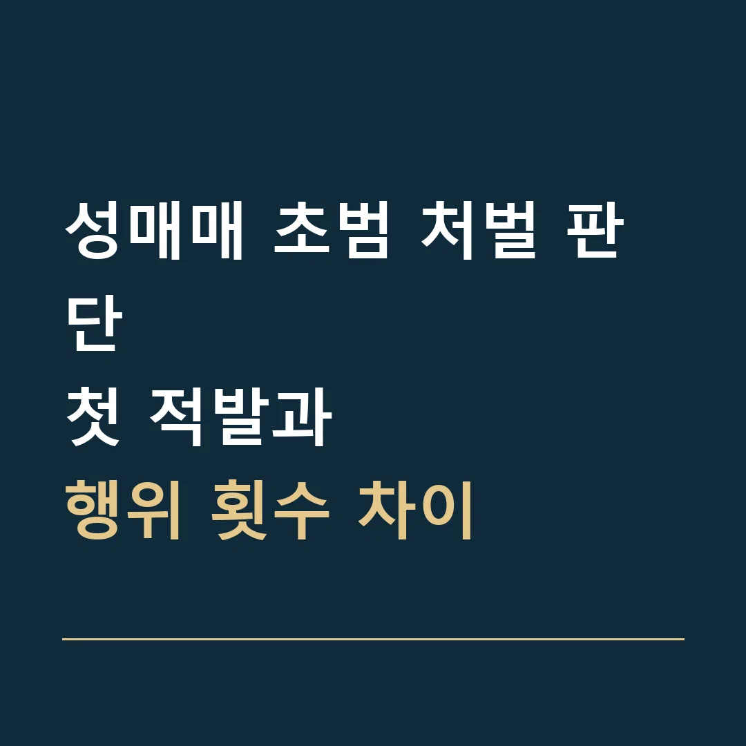 성매매 초범 처벌 판단 · 첫 적발과
행위 횟수 차이