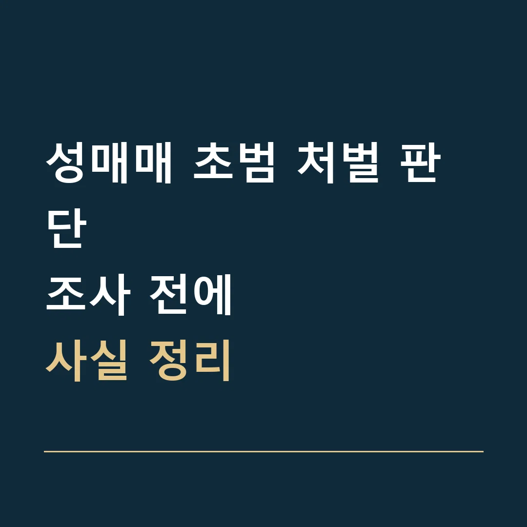 성매매 초범 처벌 판단 · 조사 전에
사실 정리