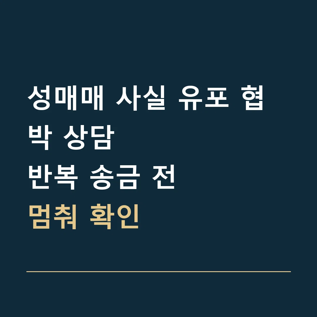 성매매 사실 유포 협박 상담 · 반복 송금 전
멈춰 확인
