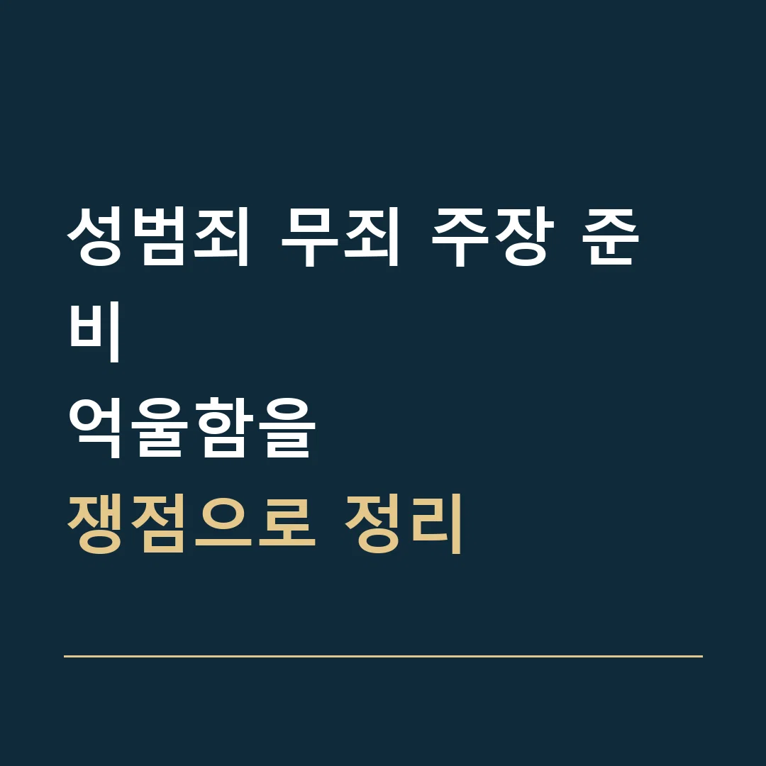 성범죄 무죄 주장 준비 · 억울함을
쟁점으로 정리