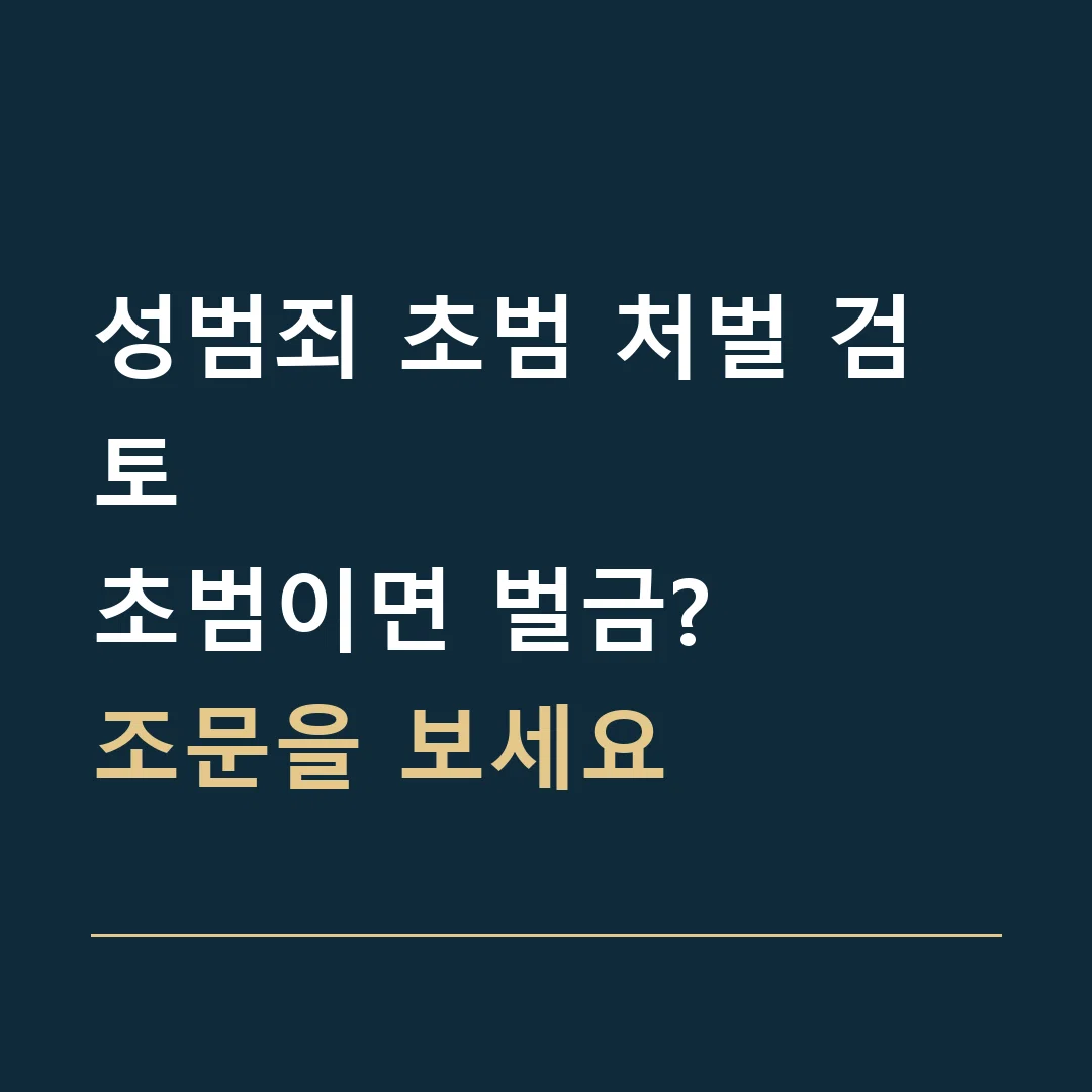 성범죄 초범 처벌 검토 · 초범이면 벌금?
조문을 보세요