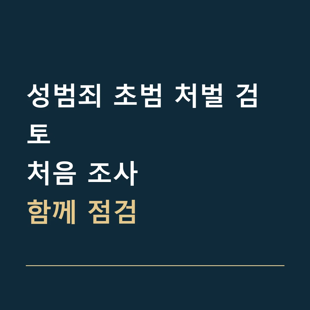 성범죄 초범 처벌 검토 · 처음 조사
함께 점검