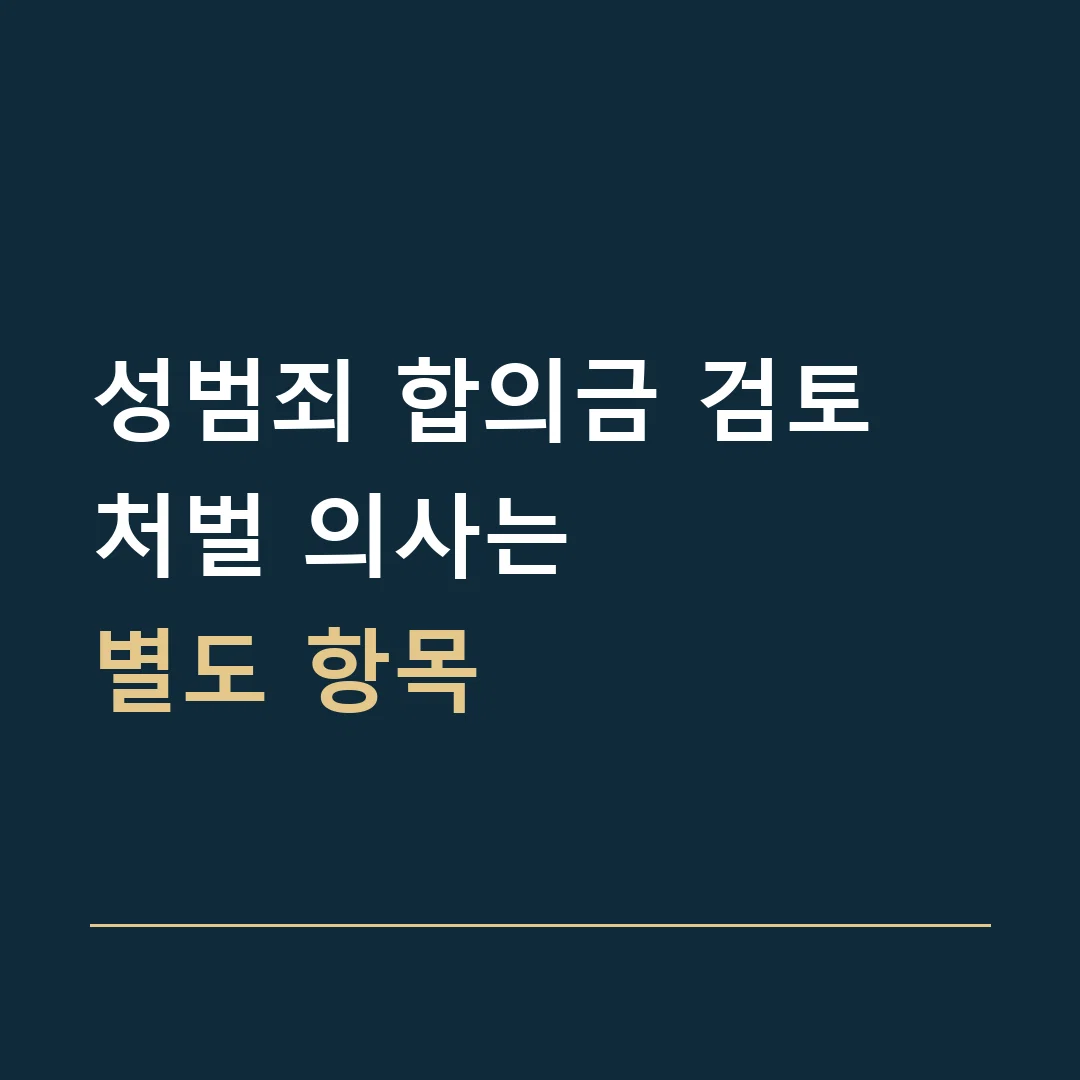 성범죄 합의금 검토 · 처벌 의사는
별도 항목