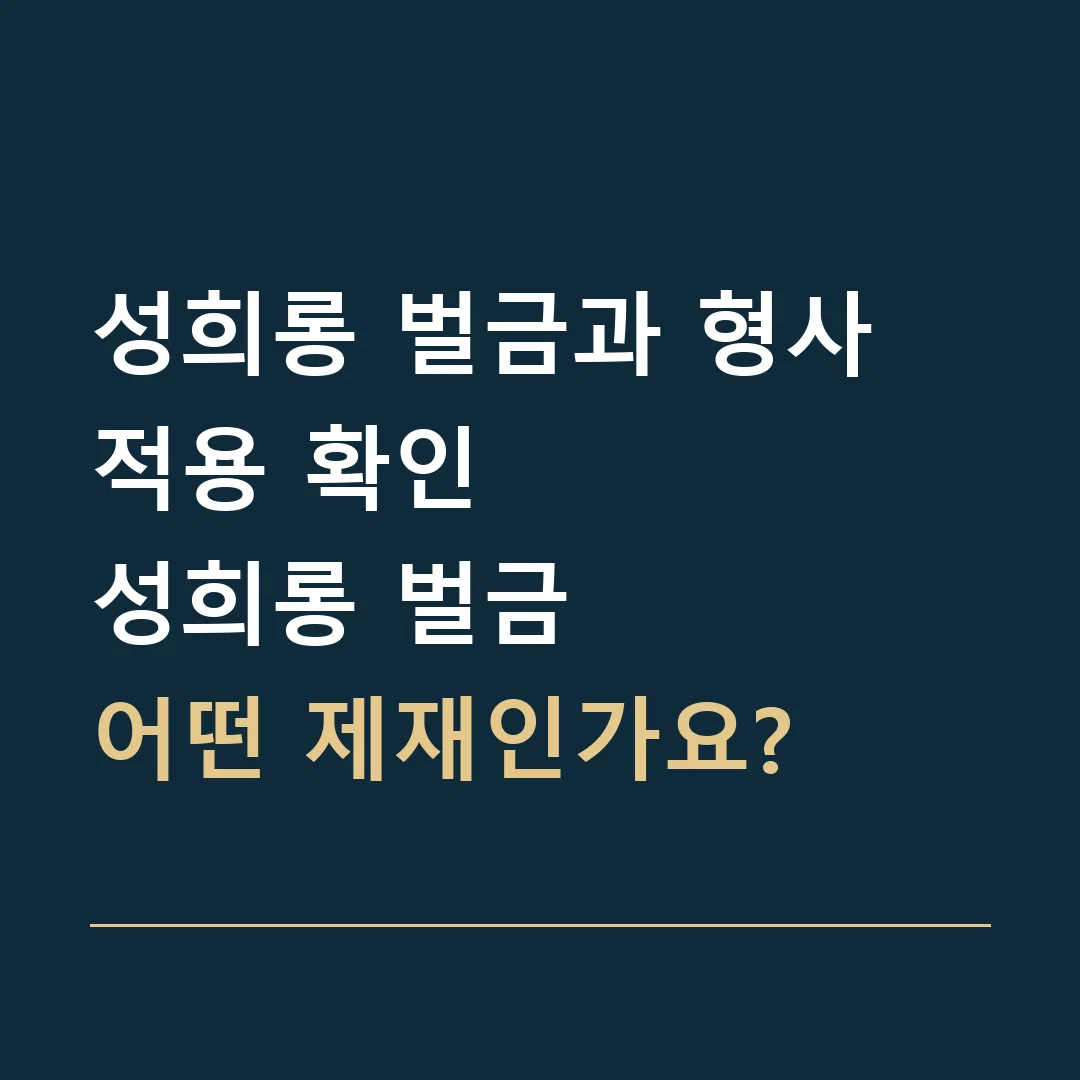성희롱 벌금과 형사 적용 확인 · 성희롱 벌금
어떤 제재인가요?