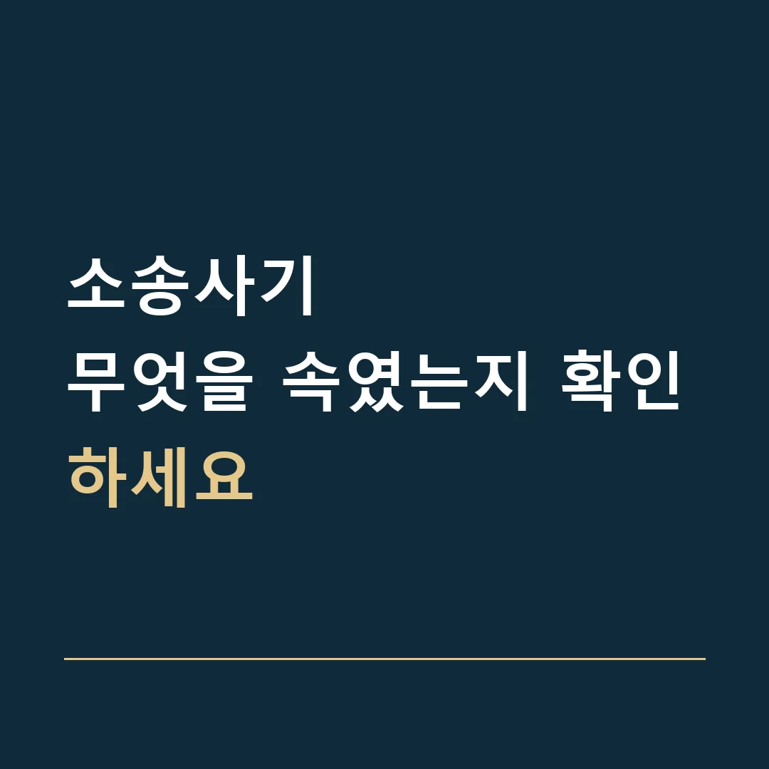 소송사기 · 무엇을 속였는지 확인하세요