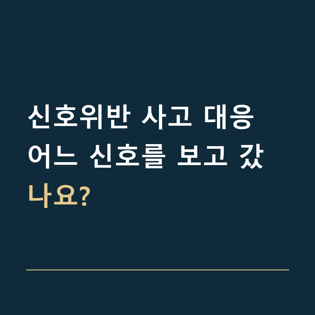 신호위반 사고 대응 · 어느 신호를 보고 갔나요?