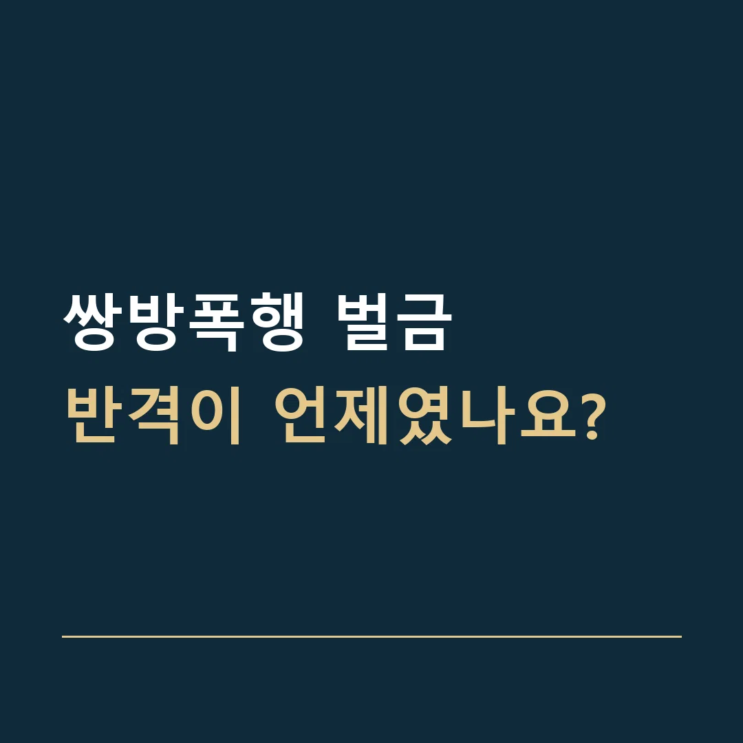 쌍방폭행 벌금 · 반격이 언제였나요?