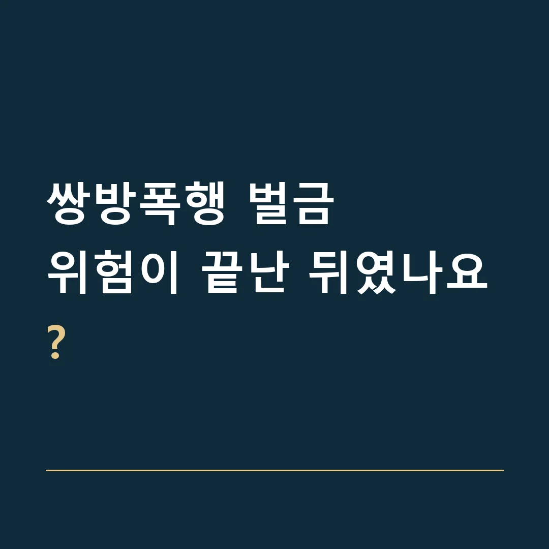 쌍방폭행 벌금 · 위험이 끝난 뒤였나요?