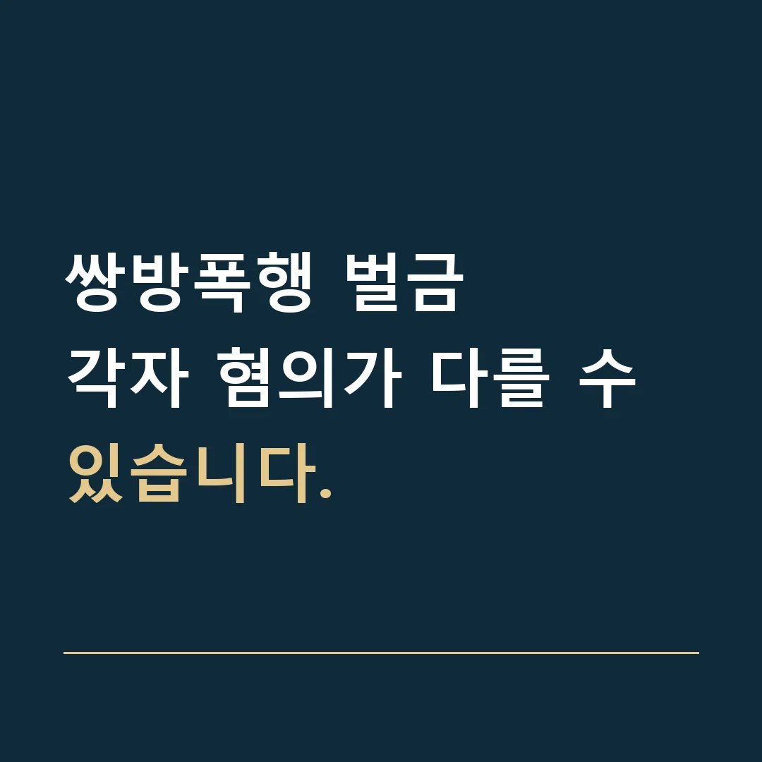 쌍방폭행 벌금 · 각자 혐의가 다를 수 있습니다.
