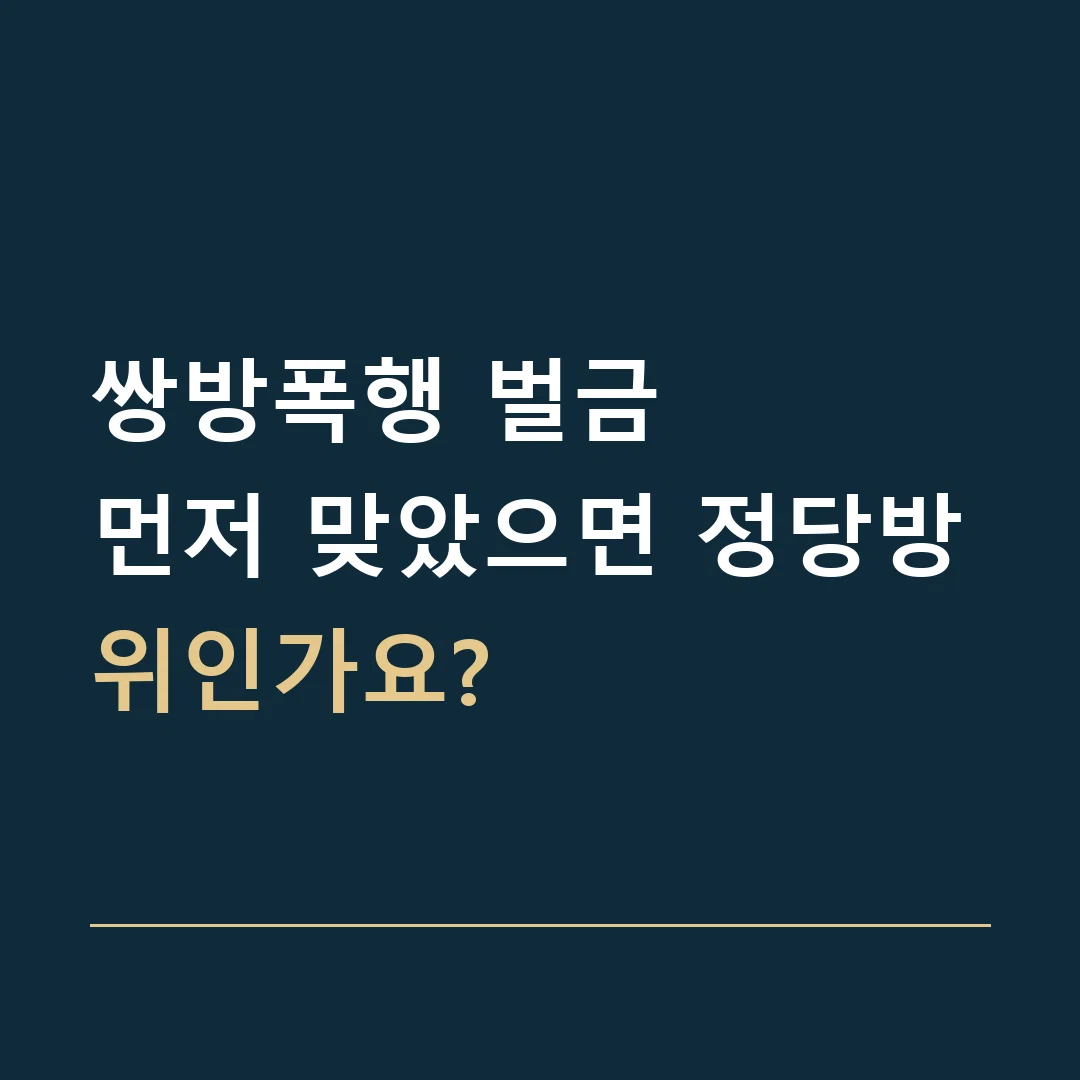 쌍방폭행 벌금 · 먼저 맞았으면 정당방위인가요?