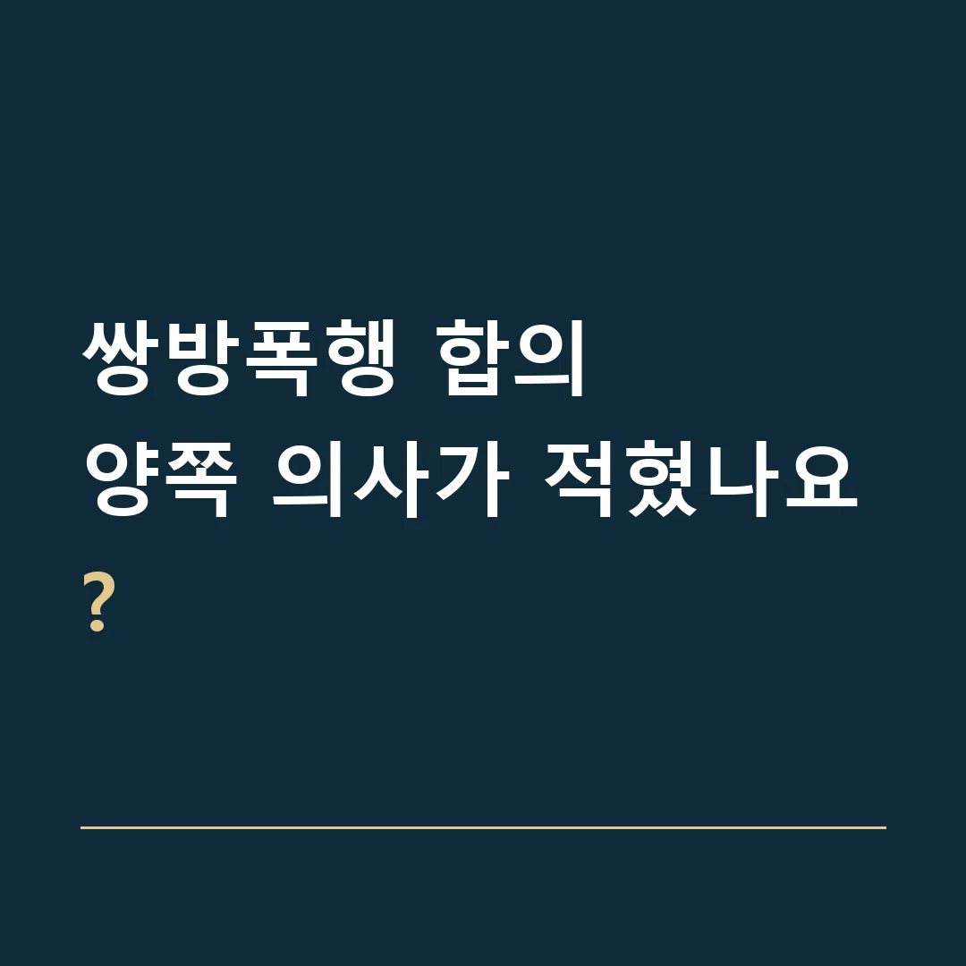 쌍방폭행 합의 · 양쪽 의사가 적혔나요?