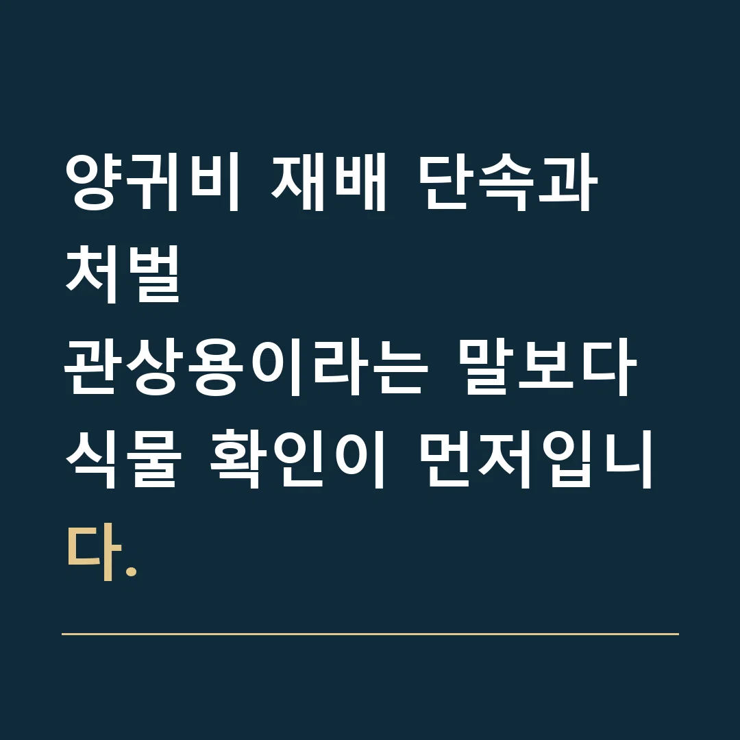 양귀비 재배 단속과 처벌 · 관상용이라는 말보다 식물 확인이 먼저입니다.