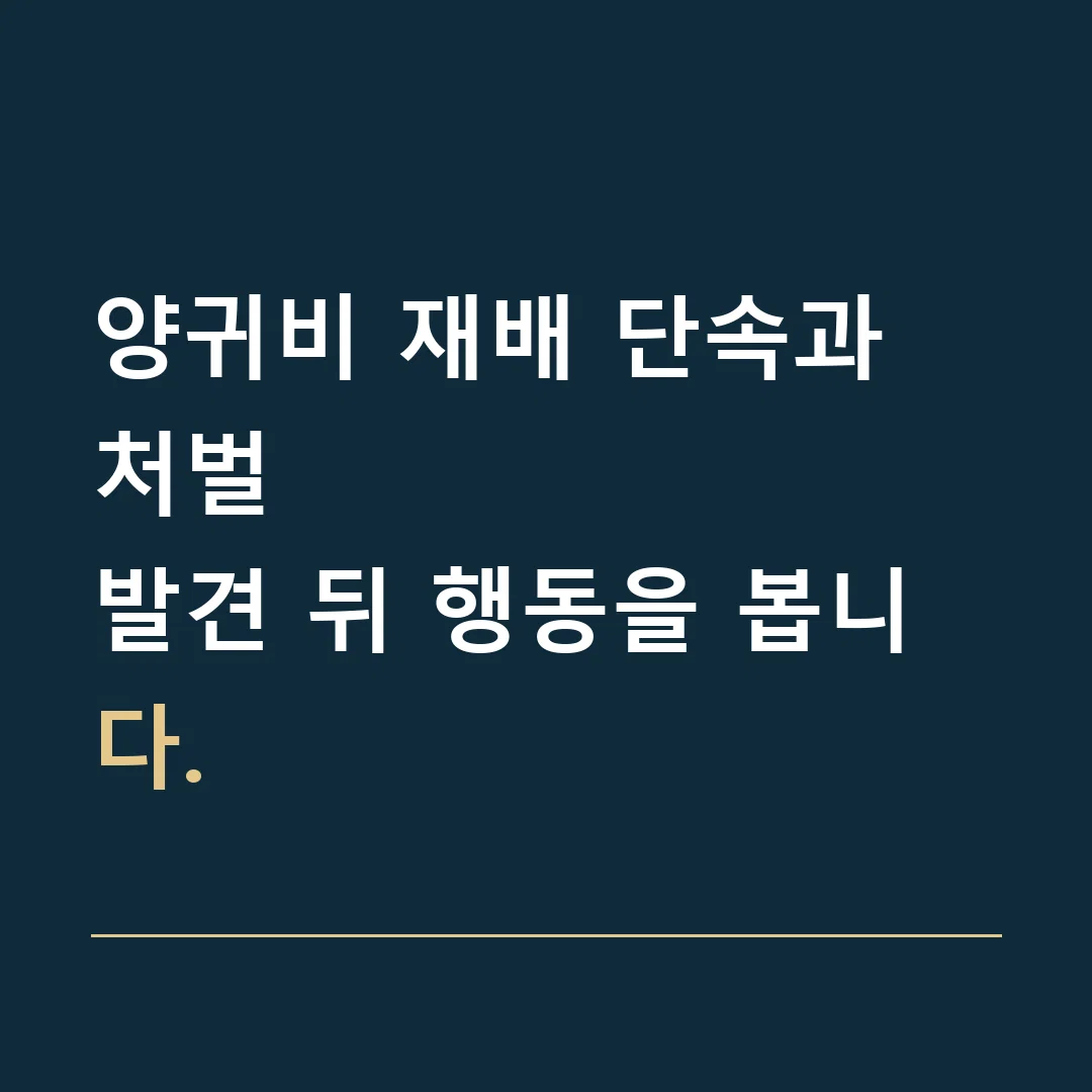 양귀비 재배 단속과 처벌 · 발견 뒤 행동을 봅니다.