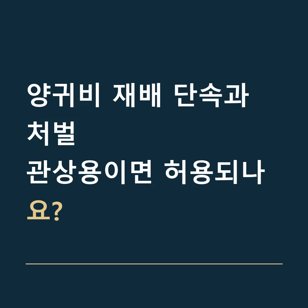 양귀비 재배 단속과 처벌 · 관상용이면 허용되나요?