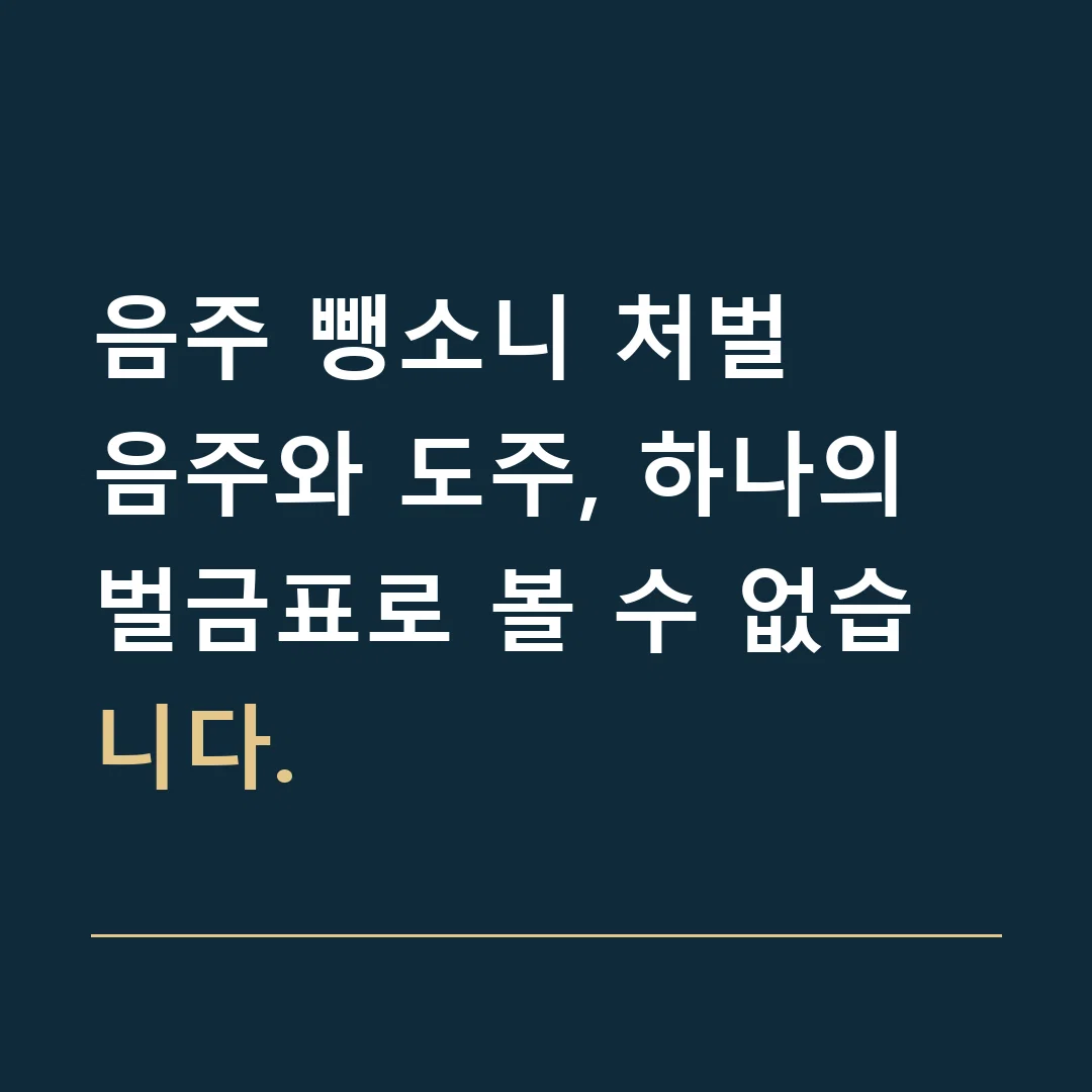 음주 뺑소니 처벌 · 음주와 도주, 하나의 벌금표로 볼 수 없습니다.
