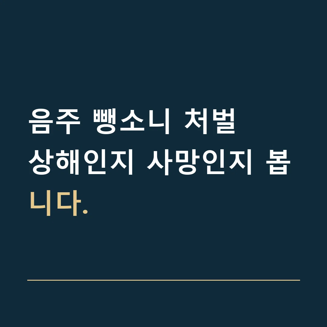 음주 뺑소니 처벌 · 상해인지 사망인지 봅니다.