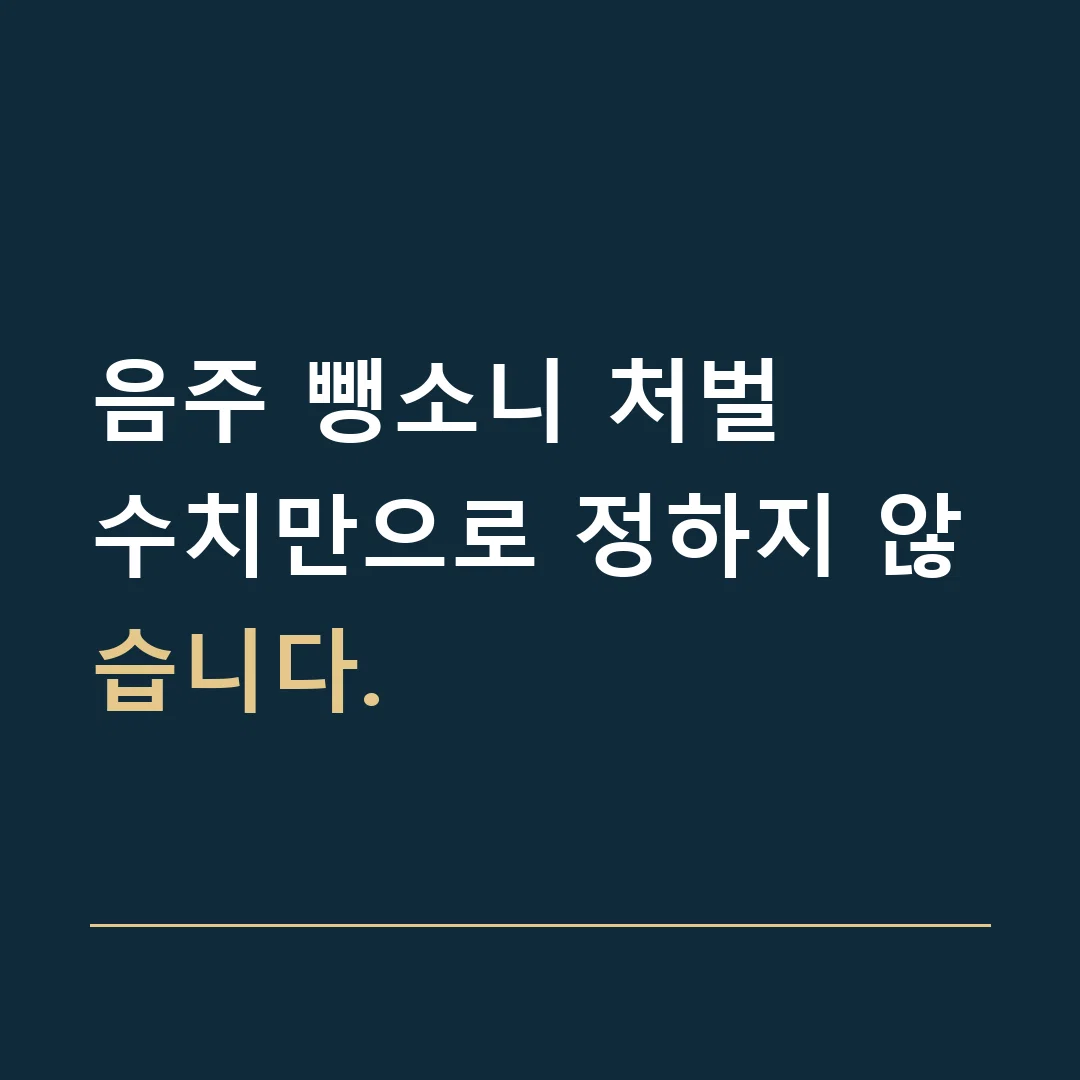 음주 뺑소니 처벌 · 수치만으로 정하지 않습니다.