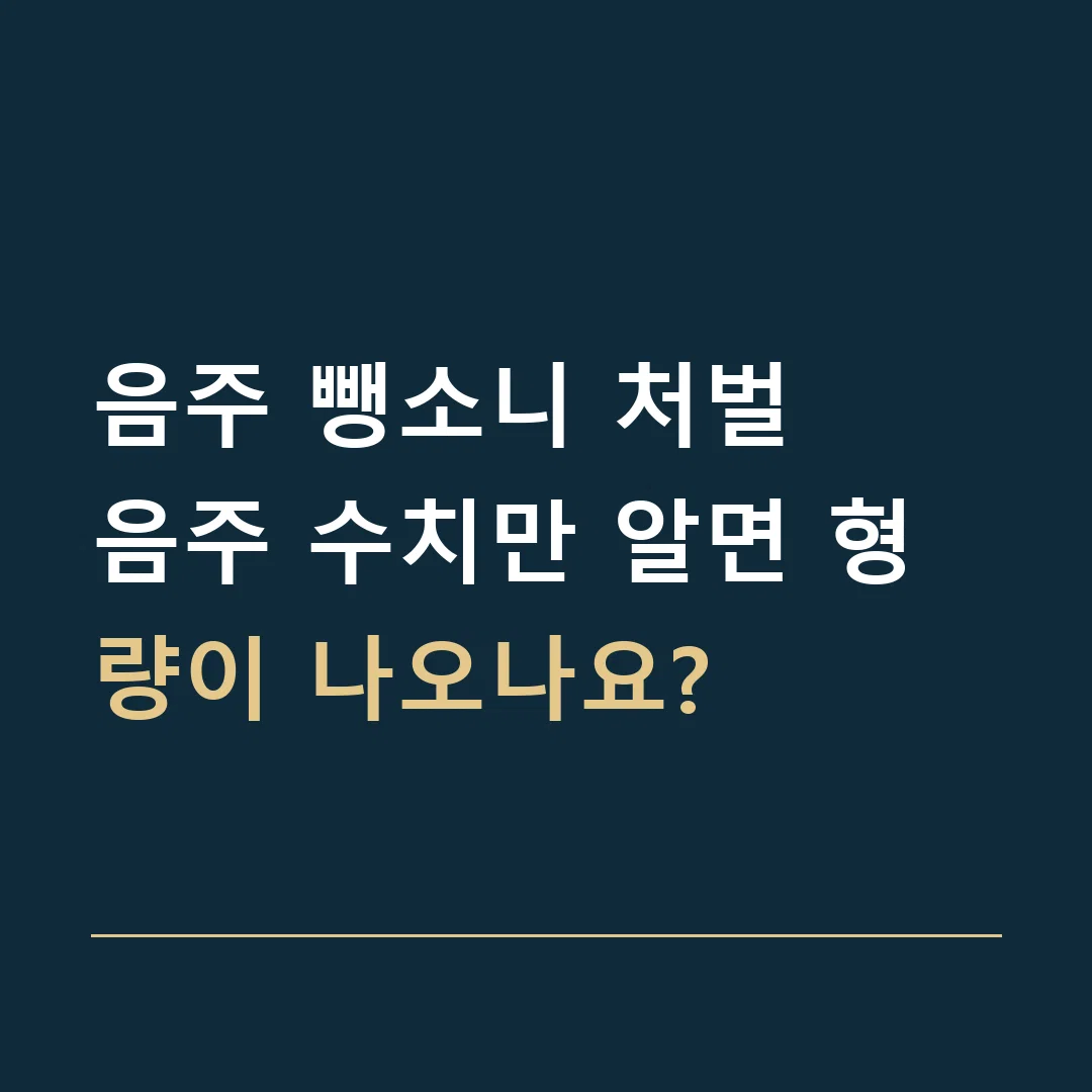 음주 뺑소니 처벌 · 음주 수치만 알면 형량이 나오나요?