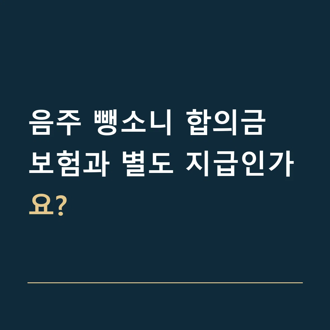 음주 뺑소니 합의금 · 보험과 별도 지급인가요?