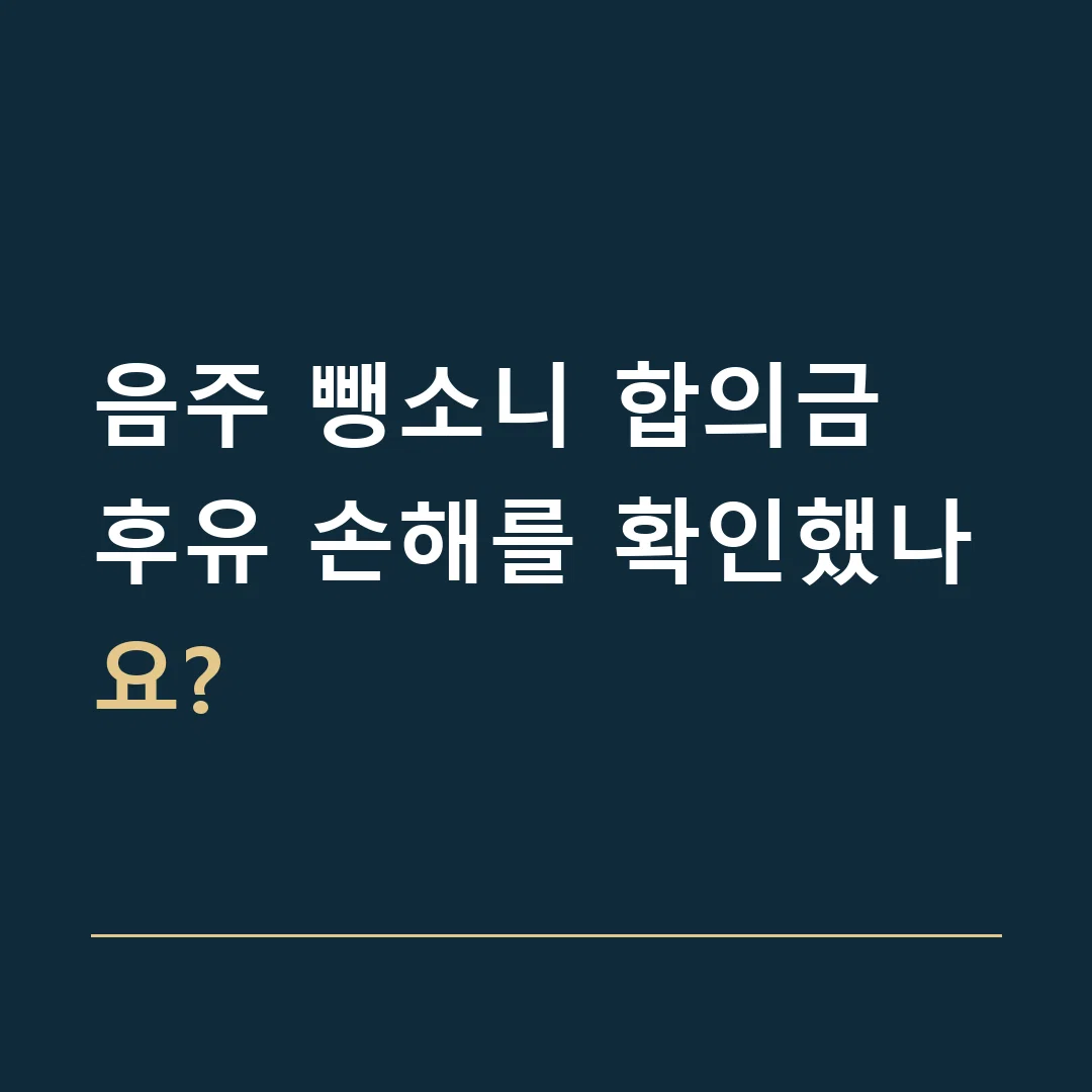 음주 뺑소니 합의금 · 후유 손해를 확인했나요?