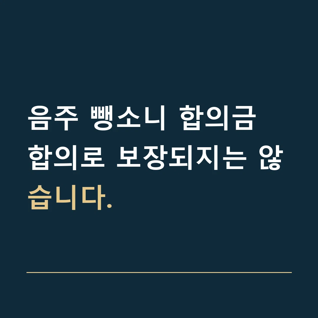 음주 뺑소니 합의금 · 합의로 보장되지는 않습니다.