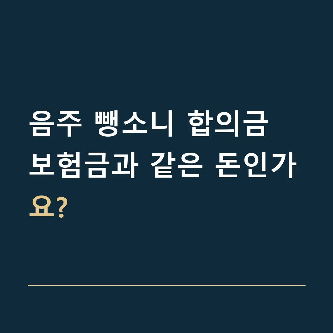 음주 뺑소니 합의금 · 보험금과 같은 돈인가요?