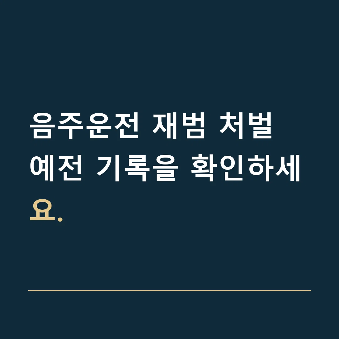 음주운전 재범 처벌 · 예전 기록을 확인하세요.