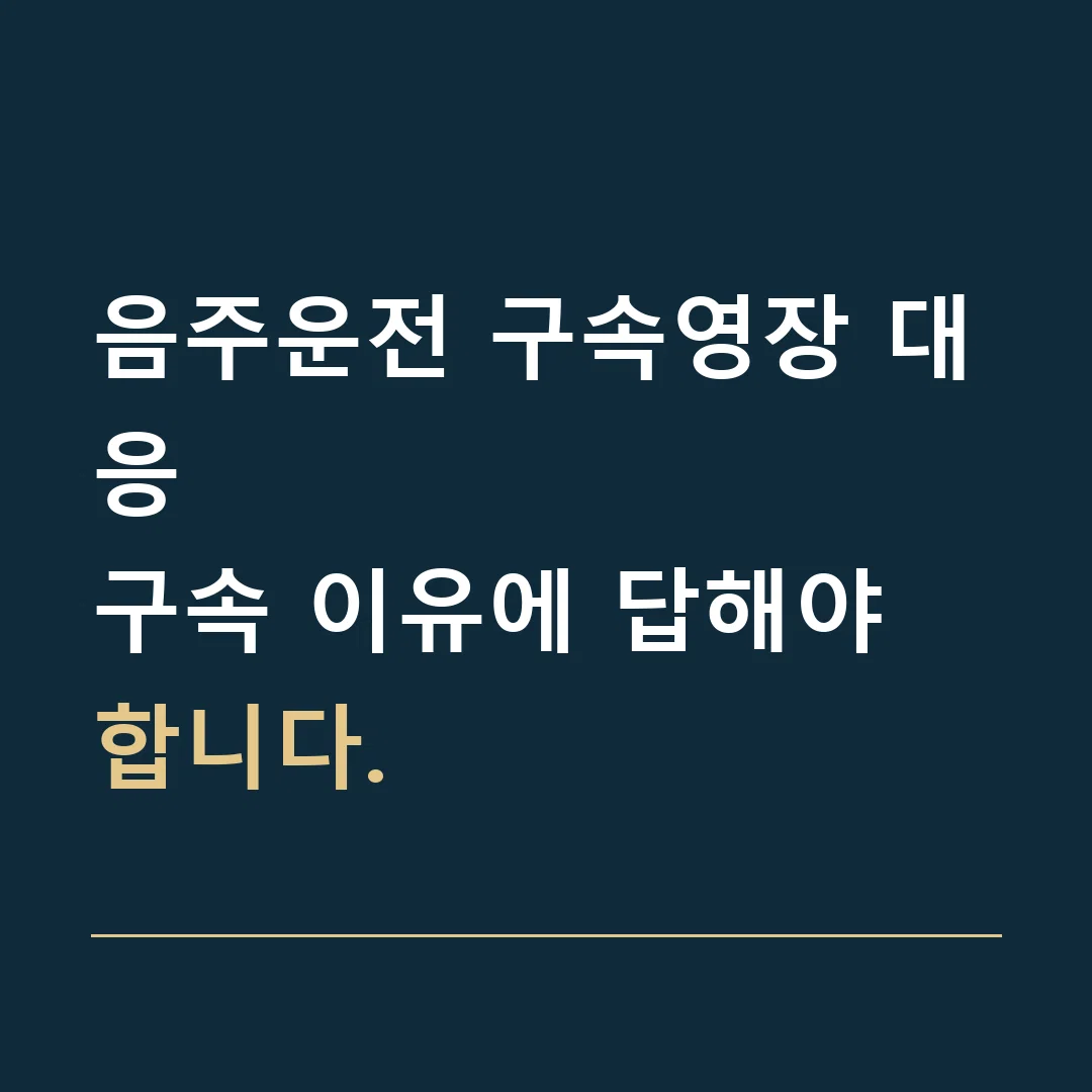 음주운전 구속영장 대응 · 구속 이유에 답해야 합니다.