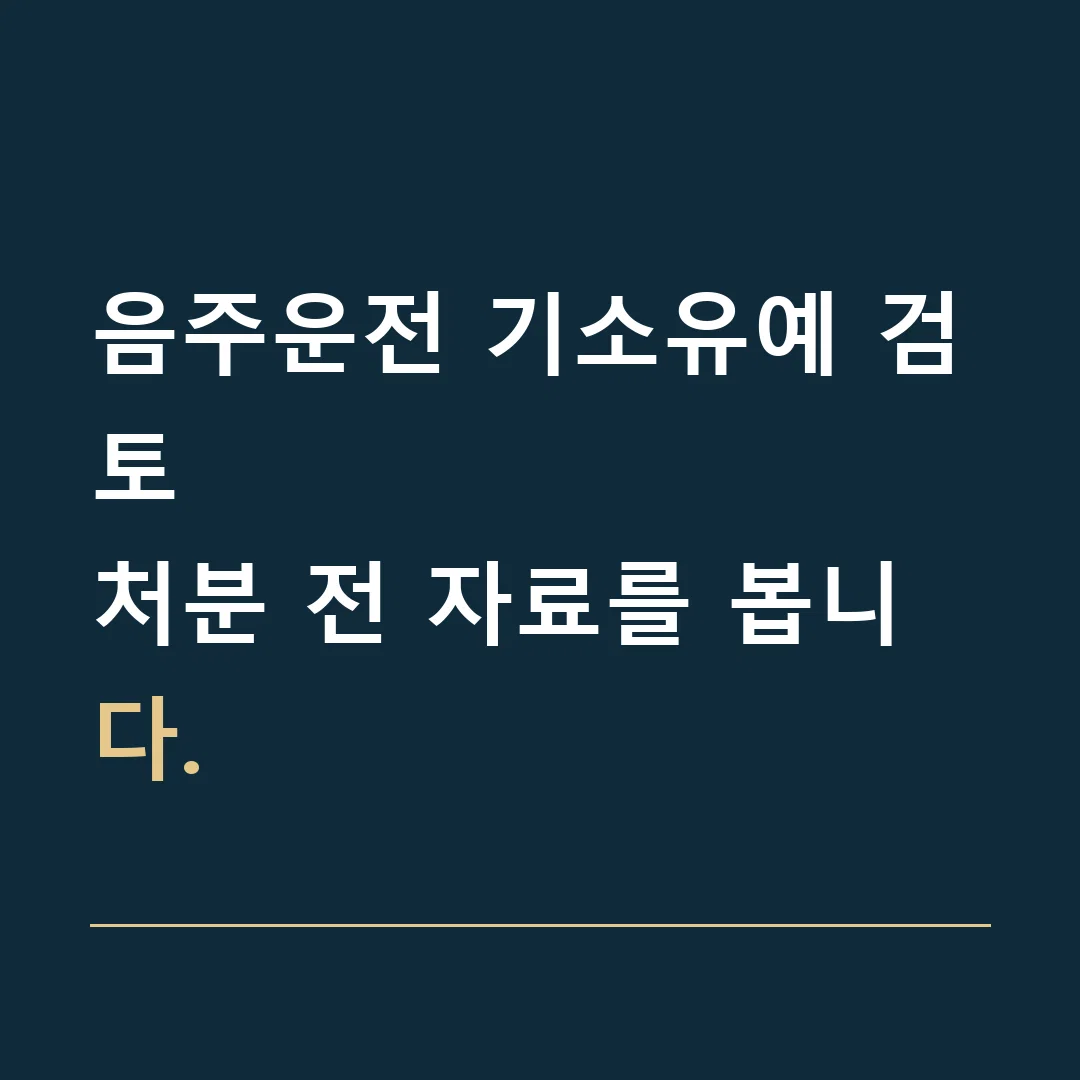 음주운전 기소유예 검토 · 처분 전 자료를 봅니다.