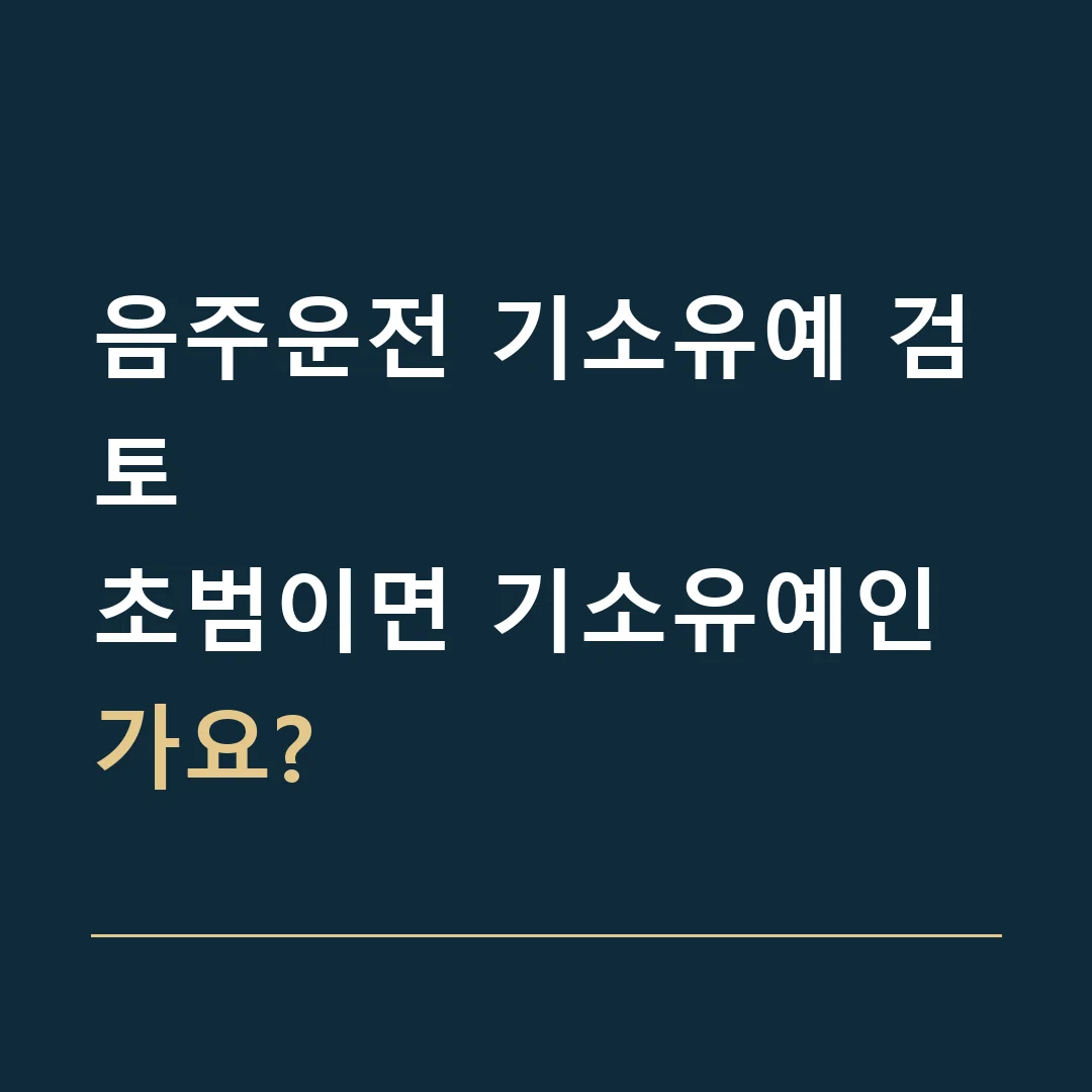 음주운전 기소유예 검토 · 초범이면 기소유예인가요?