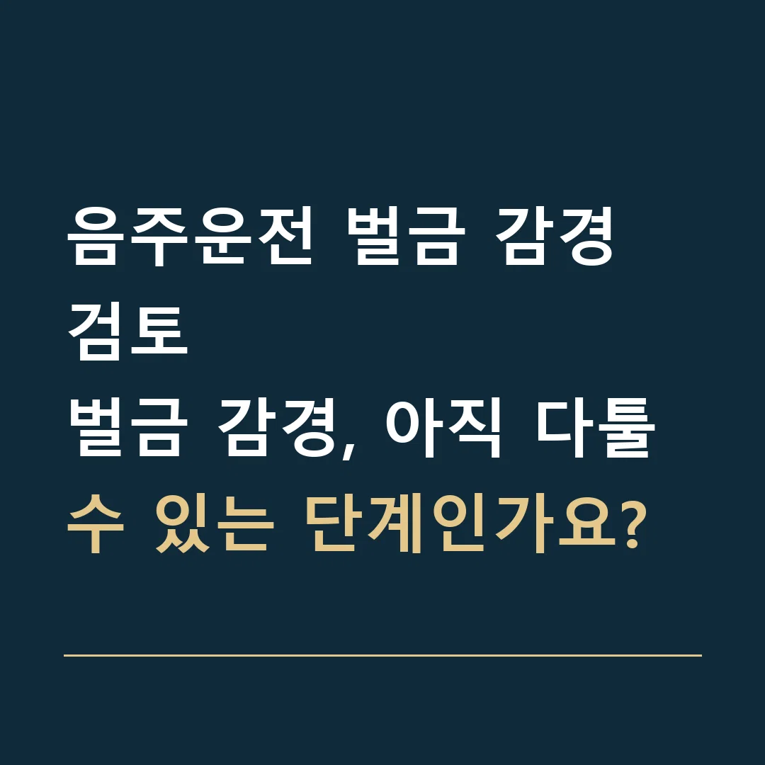 음주운전 벌금 감경 검토 · 벌금 감경, 아직 다툴 수 있는 단계인가요?
