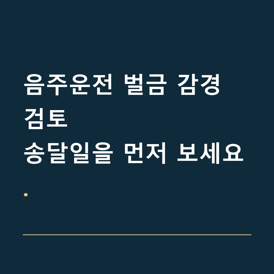 음주운전 벌금 감경 검토 · 송달일을 먼저 보세요.