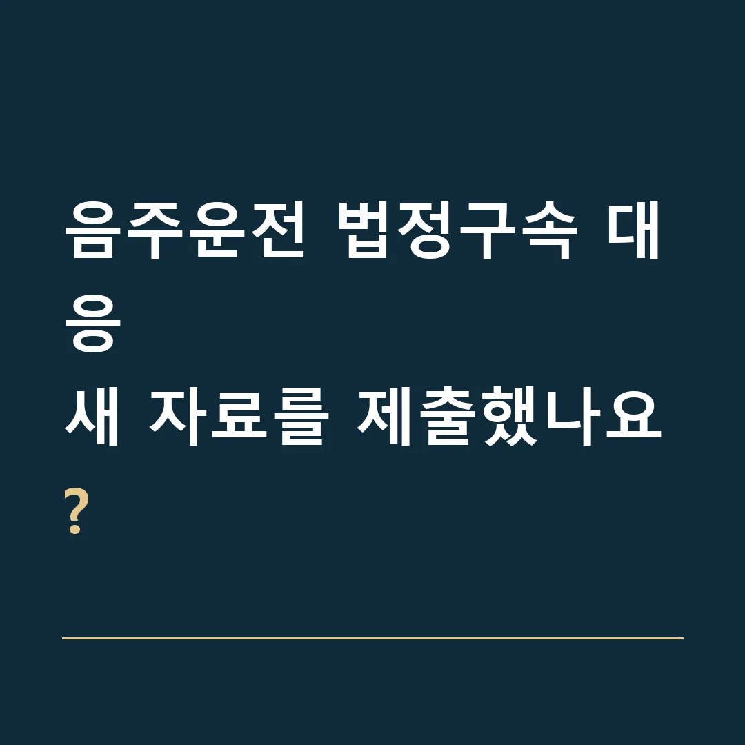 음주운전 법정구속 대응 · 새 자료를 제출했나요?