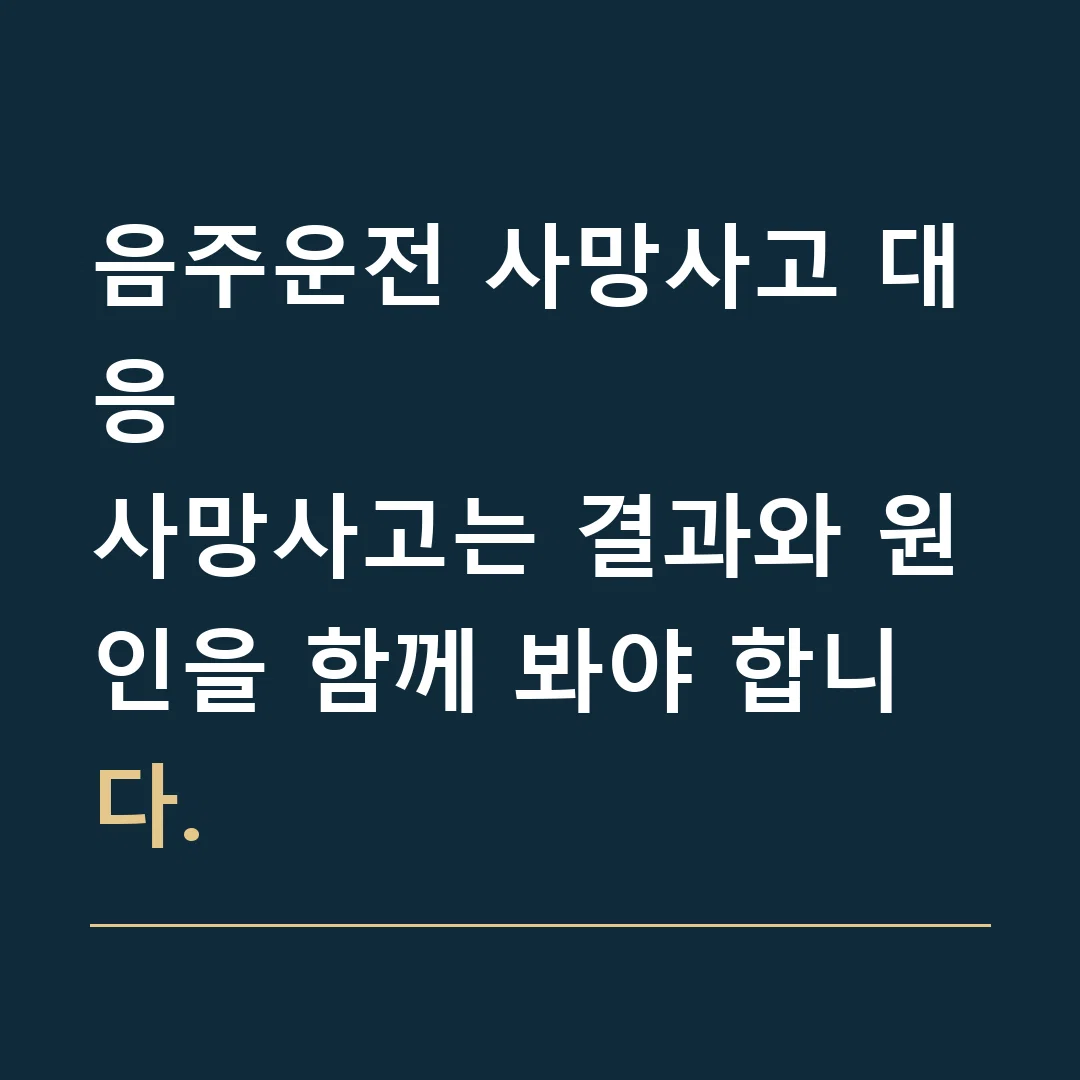 음주운전 사망사고 대응 · 사망사고는 결과와 원인을 함께 봐야 합니다.