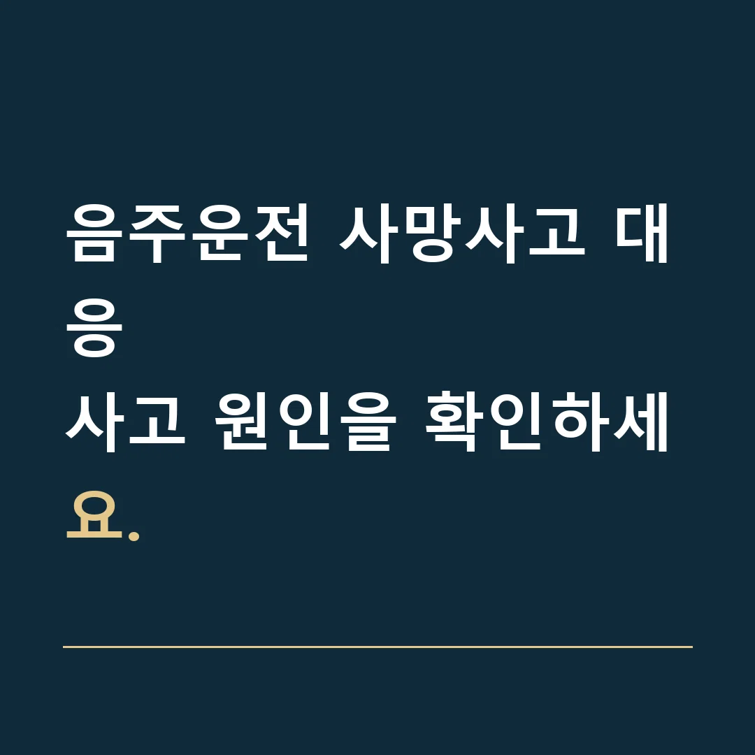 음주운전 사망사고 대응 · 사고 원인을 확인하세요.