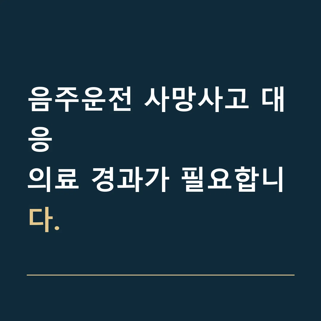 음주운전 사망사고 대응 · 의료 경과가 필요합니다.