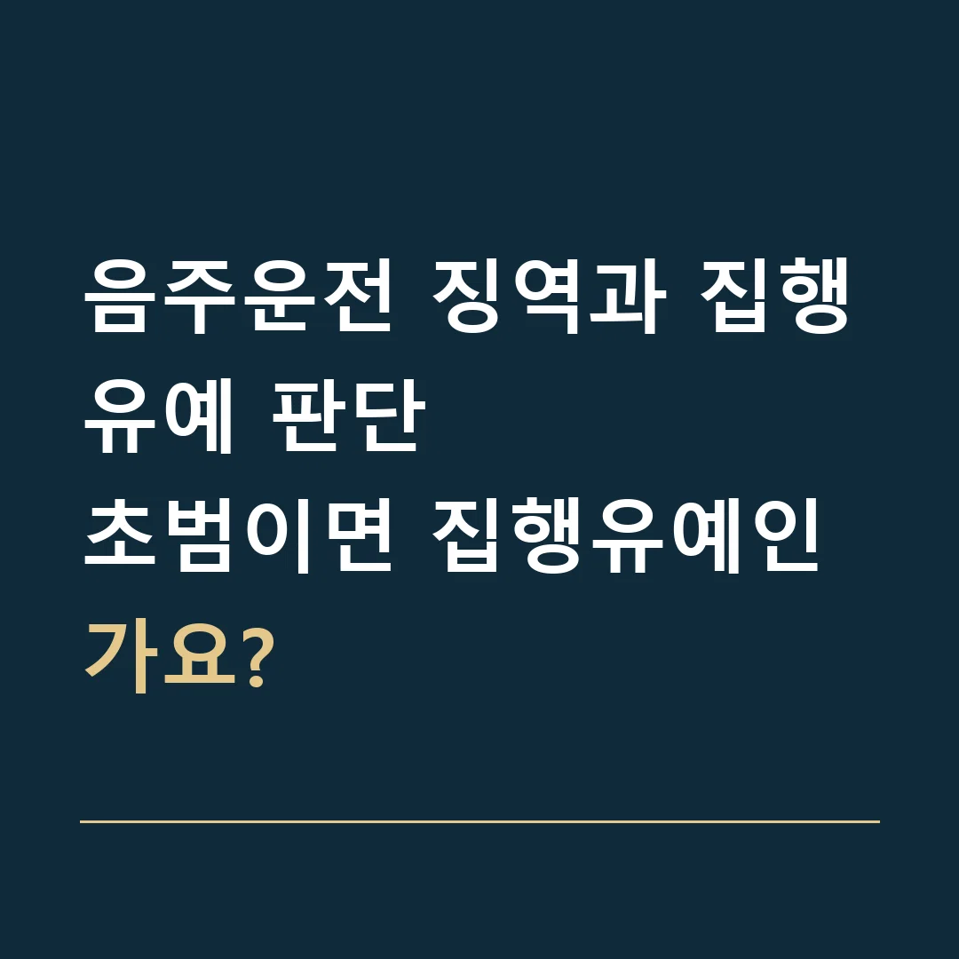 음주운전 징역과 집행유예 판단 · 초범이면 집행유예인가요?