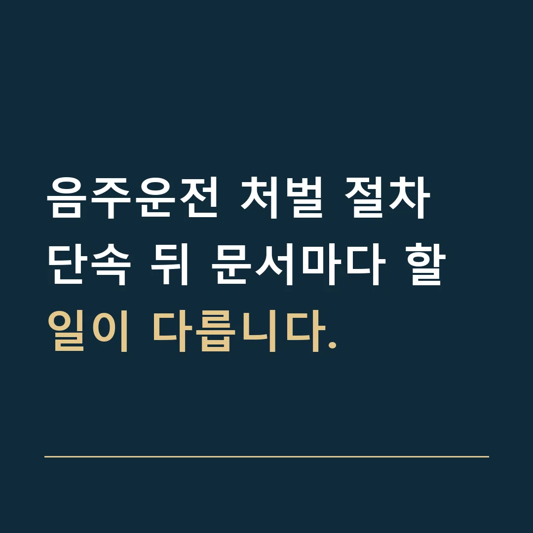 음주운전 처벌 절차 · 단속 뒤 문서마다 할 일이 다릅니다.