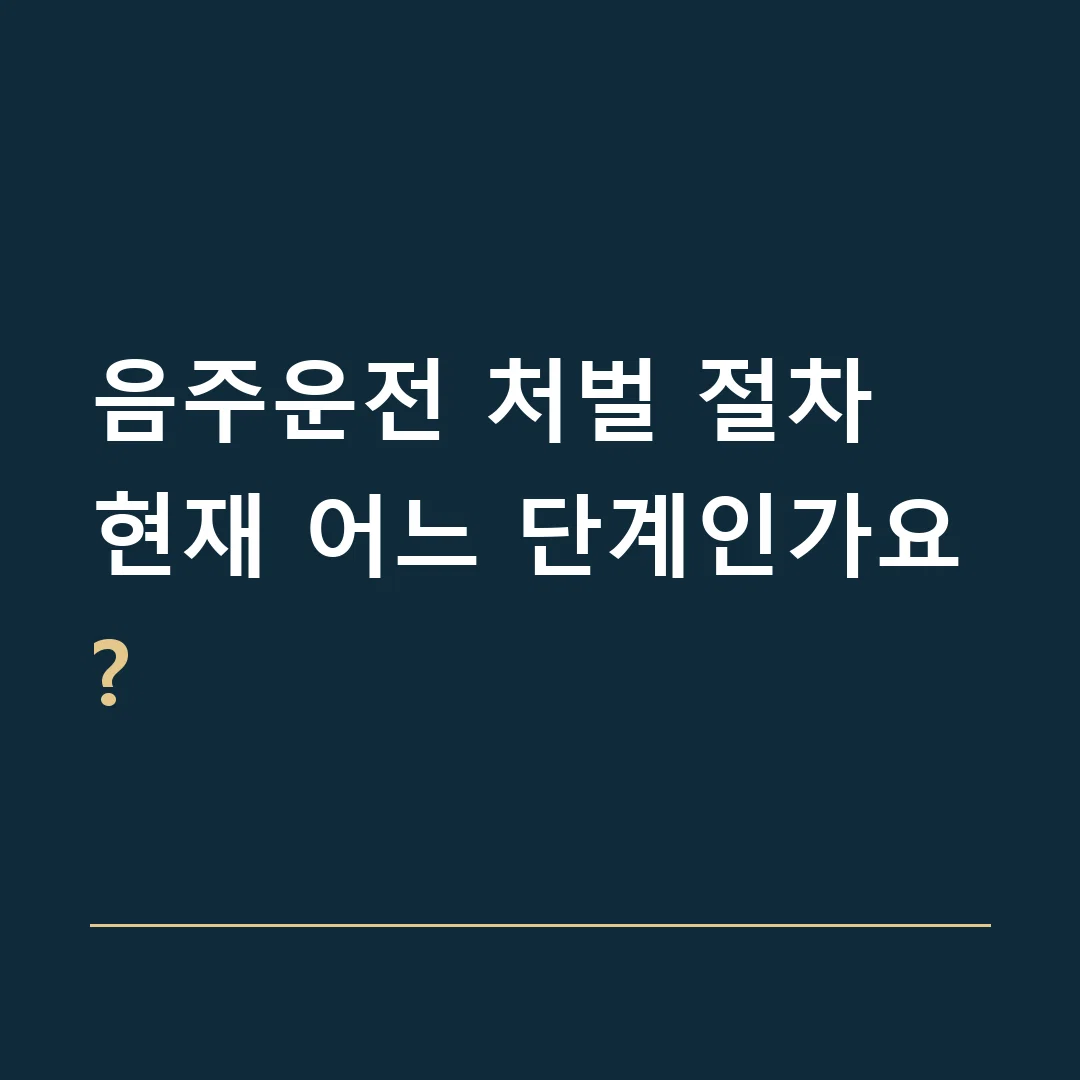 음주운전 처벌 절차 · 현재 어느 단계인가요?