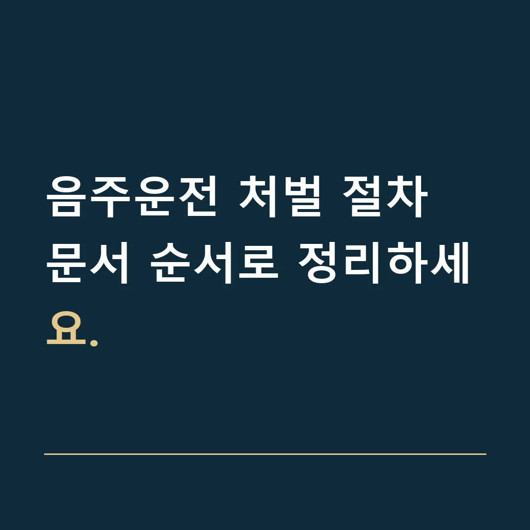 음주운전 처벌 절차 · 문서 순서로 정리하세요.